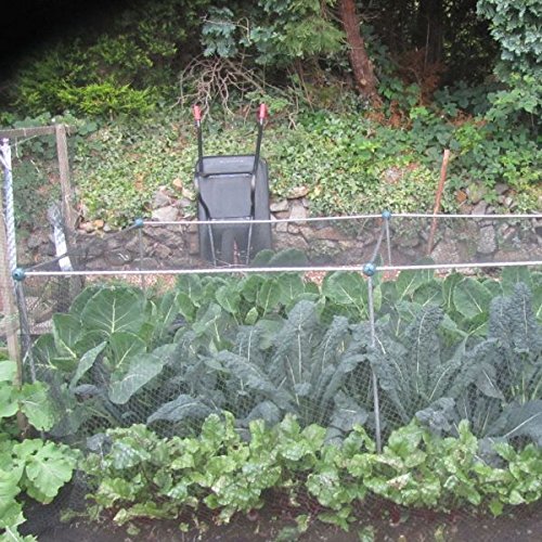 Gardening Naturally Veg Cage Kit H700mm x W 2.16m x L5.4m Bird Netting