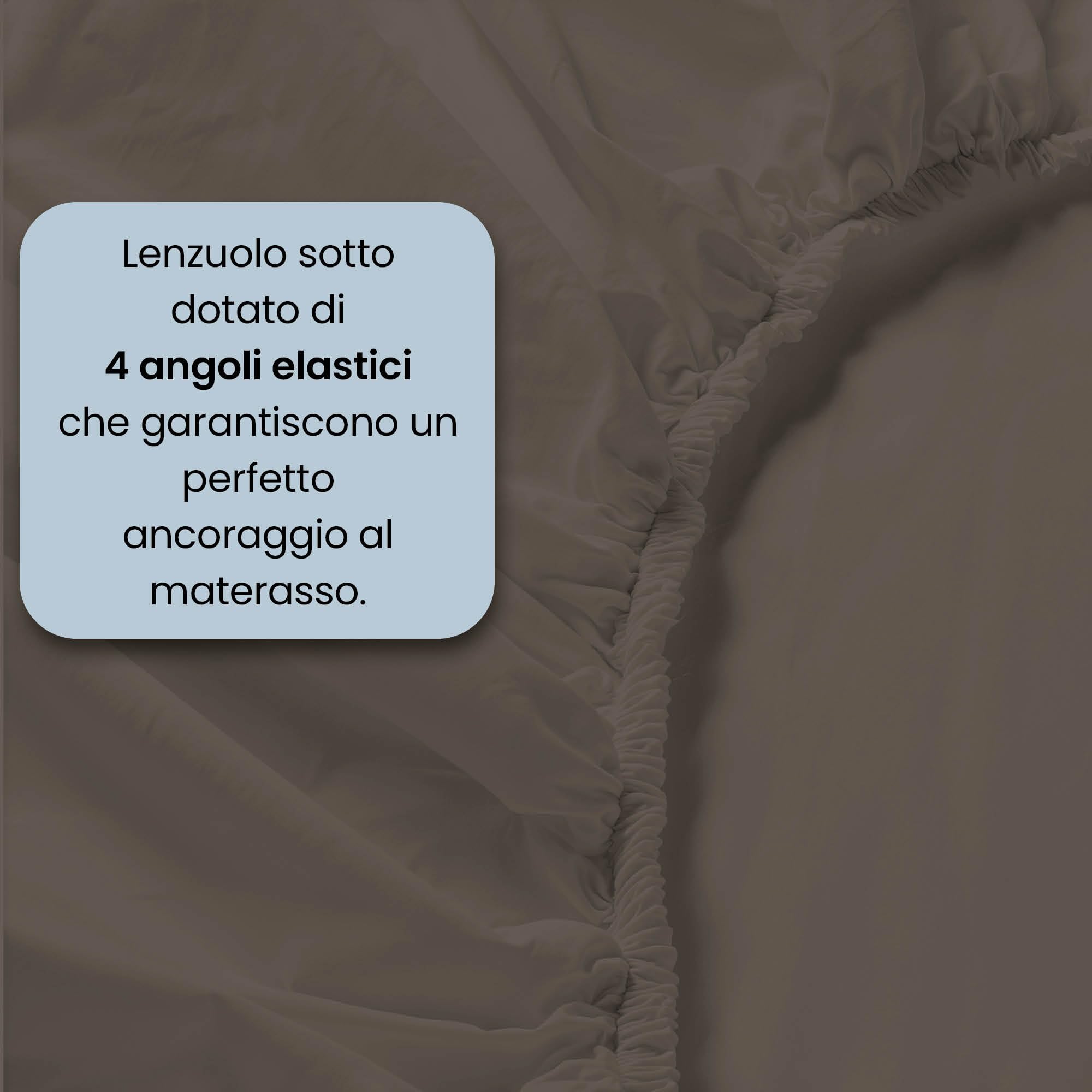 maxcolor Bedding Dark Brown