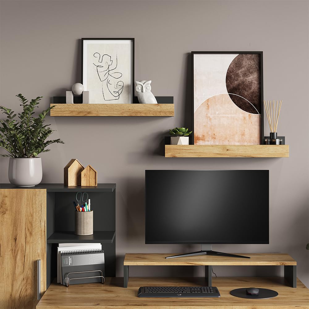 Vicco Estantería de Pared Tomy, Antracita/Roble Dorado, 60 x 10 cm Lote de 2, Apto para Montaje en Pared para Libros y decoración