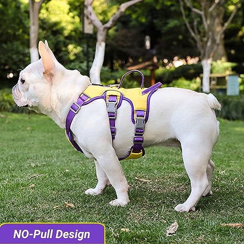 LiebeDD Imbracatura per cani di taglia piccola