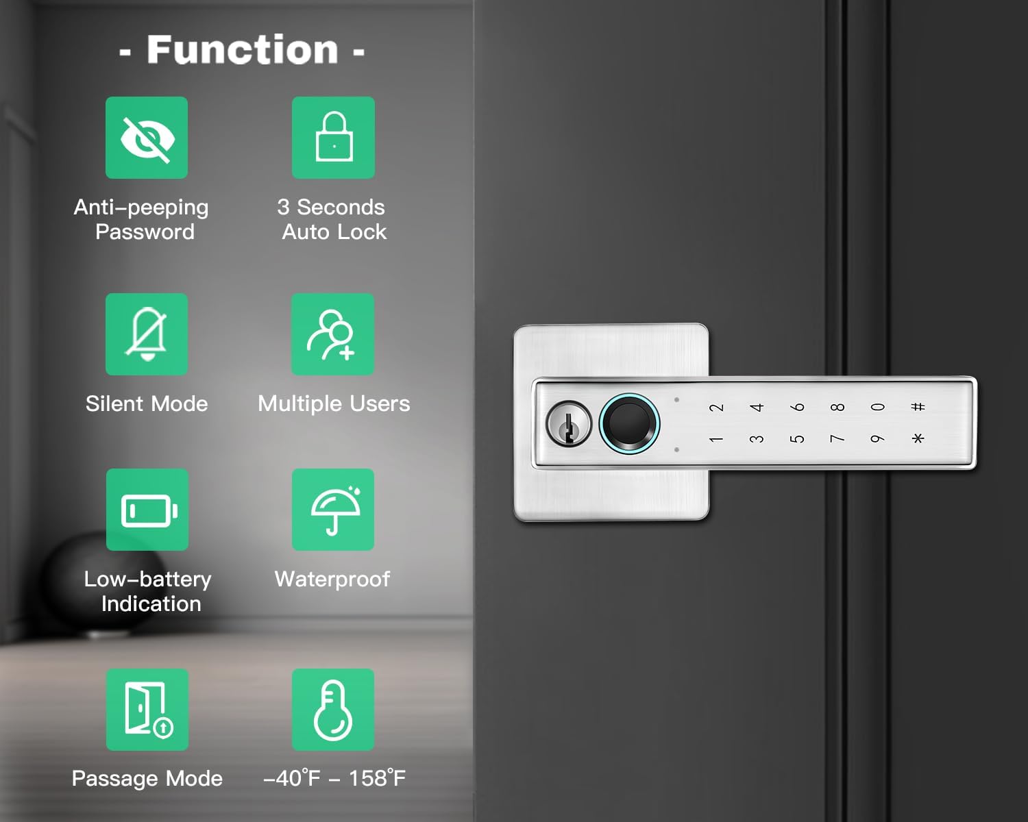 Hiecetec Silver Fingerprint Lock Door Knob
