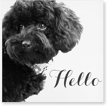 Amazon Co Jp Inov かわいく小さい犬 子犬 トイプードル こんにちは 絵画 アート インテリア 壁掛け ポスター アート アートパネル リビング 玄関 プレゼント アートフレーム おしゃれ 飾る ホーム キッチン Amazon Co Jp Inov かわいく小さい犬 子犬 トイプードル こんにちは 絵画 アート インテリア 壁掛け ポスター アート アートパネル リビング 玄関 プレゼント アートフレーム おしゃれ 飾る ホーム キッチン