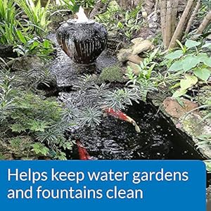 API POND ALGAEFIX Algae Control 32 Ounce Bottle FISHAQUARI 169G