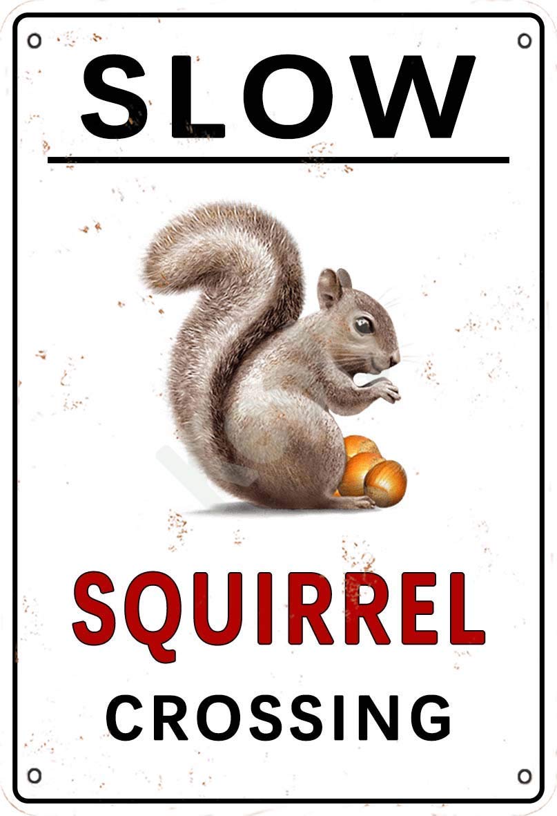 Sitrmgh Signage Style 1229 Slow Squirrel Crossing Metal Vintage Sign Wall Decorationes For Cafe Bars Restaurants Pubs Man Cave Decorative 8X12 Inch