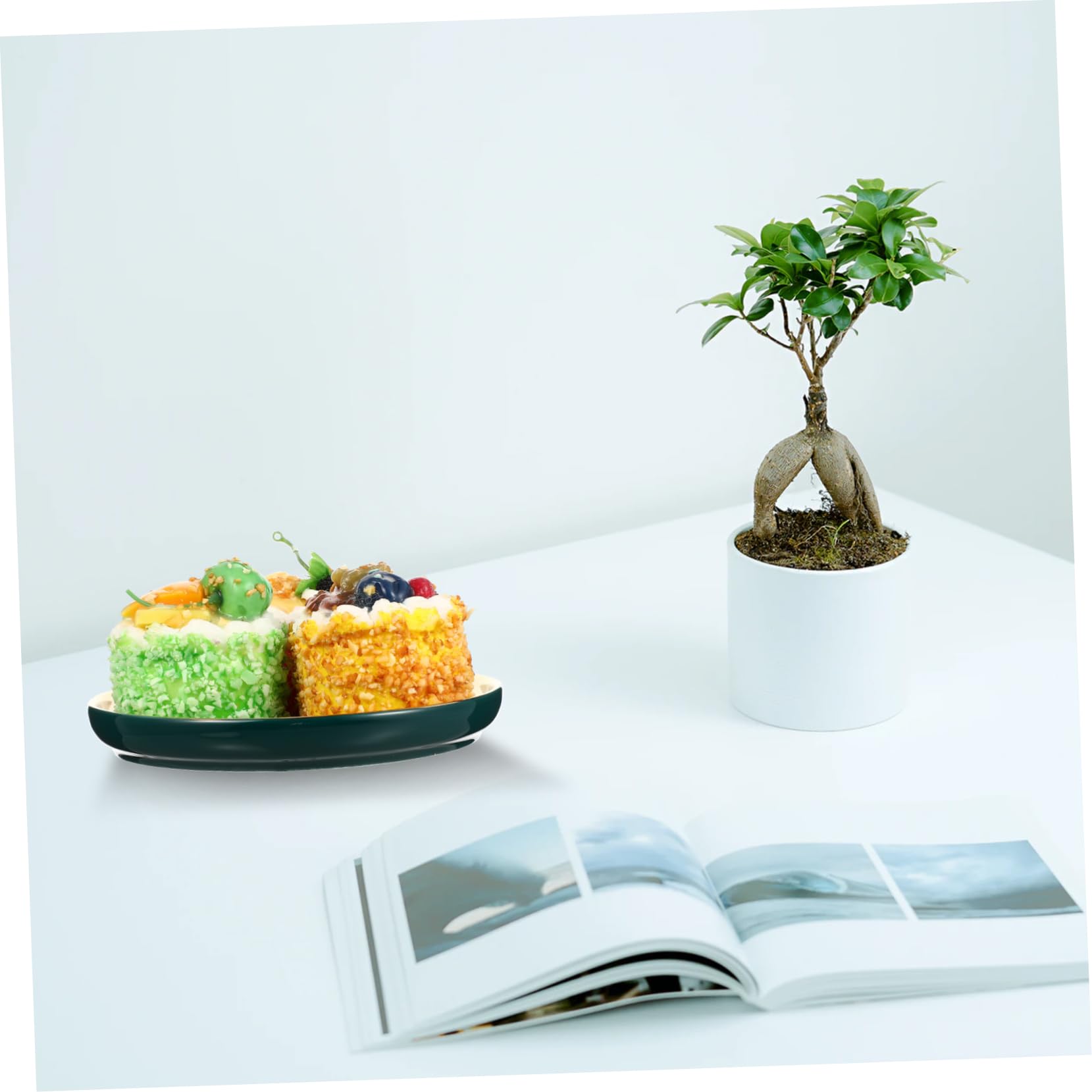 SOLUSTRE 2PCS Dessert Plates Multi Functional Kitchen Fruit Salad Dishes with Elegant Platinum Edges for Snacks and Afternoon Tea Display