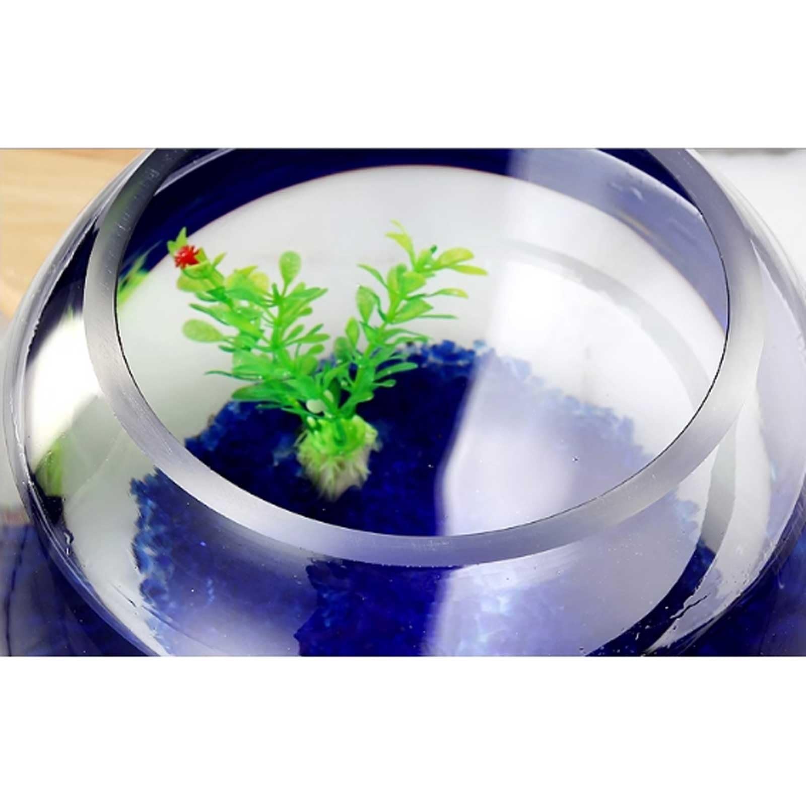 Terrarium Verdicktes transparentes Glas Aquarium Desktop Runde Goldfisch Aquarium Wohnzimmer Desktop Dekorative Aquarium Ornamente Insekten Schildkröten(25cmx20cm)