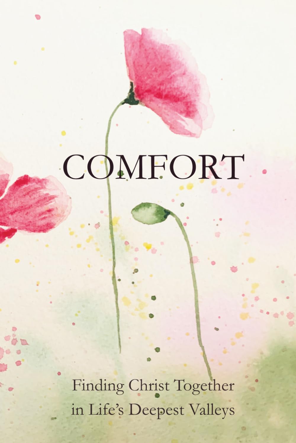 Comfort: Finding Christ Together in Life’s Deepest Valleys