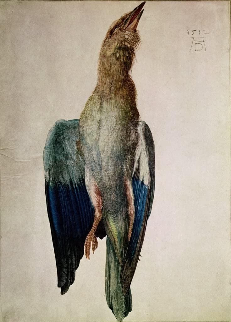 Impression d'art tableau corbeau par Albrecht Dürer pour décoration murale - 5