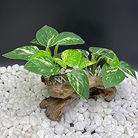 Vista 6 de Smoothedo-Pets Decoraciones de Pecera Acuario Decoración Ornamentos Betta Almohadilla de Hoja de Seda Hamaca Cueva de Madera Flotante Artificial