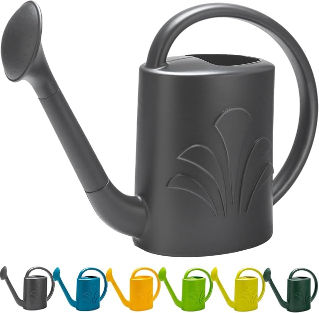 Watering Can 1 Gallon for Indoor and Outdoor Plants, Large Long Spout Plastic Water Can for House Plant Garden Flower with Sprinkler Head Grey