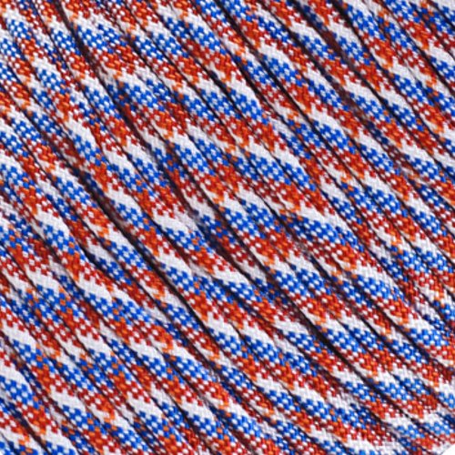West Coast Paracord Multi Color Nylon Military Paracord 550 Type III 7 Strand Utility Cord Rope - 100 Foot Hanks (Dutch Pride)