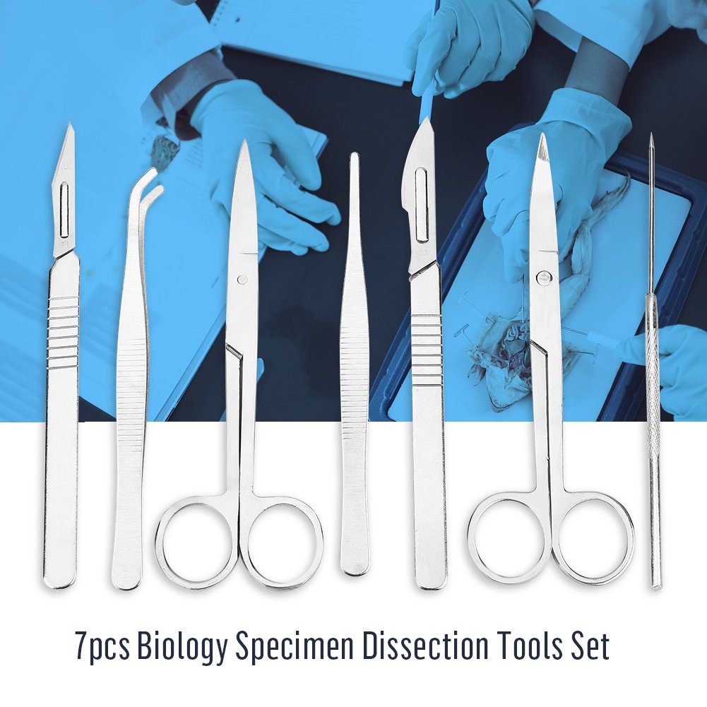 7 Pièces Kit de Dissection Ensemble de Dissection de Laboratoire en Acier Inoxydable Outils de Dissection de Laboratoire D'étudiant en Biologie