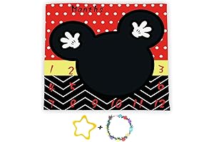 Disney Milestone Blanket