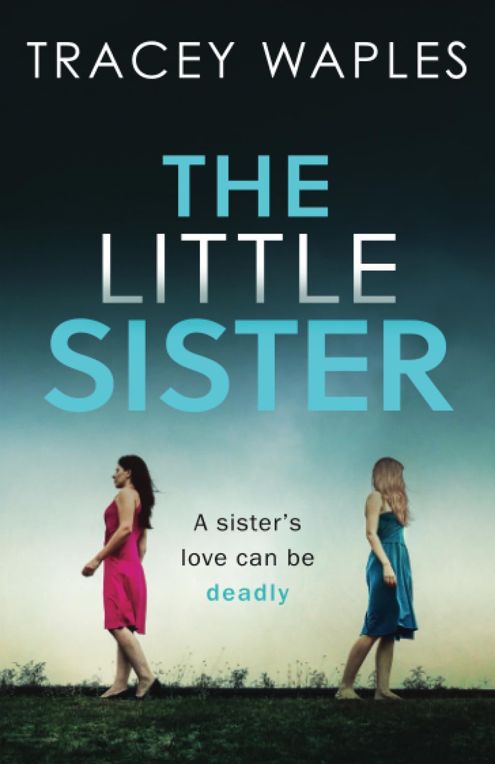 THE LITTLE SISTER: an absolutely gripping psychological thriller (Unputdownable Psychological Thrillers)