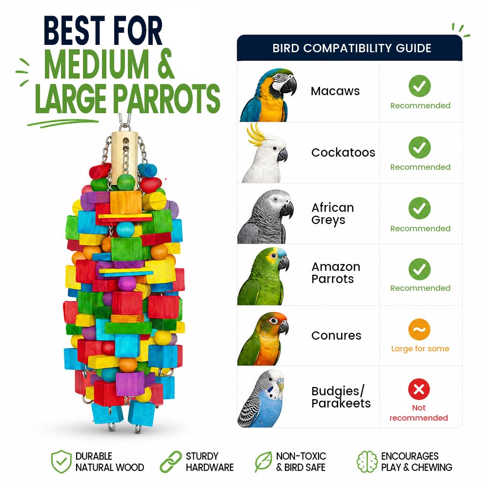 Giocattoli per uccelli extra large – 55 cm, giocattoli naturali per pappagalli da masticare e foraggiamento, con catena SS e colori commestibili per pappagalli di medie e grandi dimensioni, ara