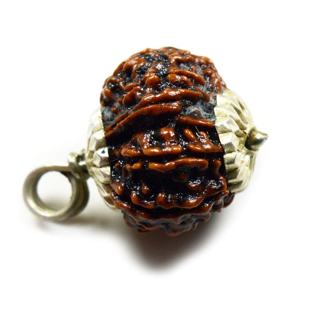GemsyogiReal Ten Face 10 Mukhi Nepail Rudraksha Pendant Spiritual Bead Sterling Silver Rudraksh Locket