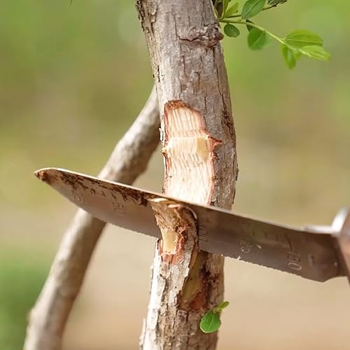 Miniatura 8 de GARTOL Hori Hori - Cuchillo de jardín con funda de cuero, hoja de acero inoxidable de 7 pulgadas, mango de madera de espiga completa, herramientas