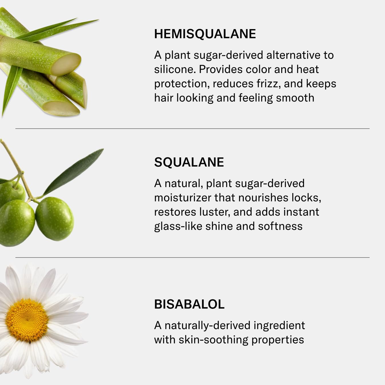 SEEN Frizz + Repair Treatment Mask - Scented- Fights Frizz, Repairs Damage for Stronger, Smoother, Healthier-Looking Hair - Safe for Sensitive Skin - Image 7