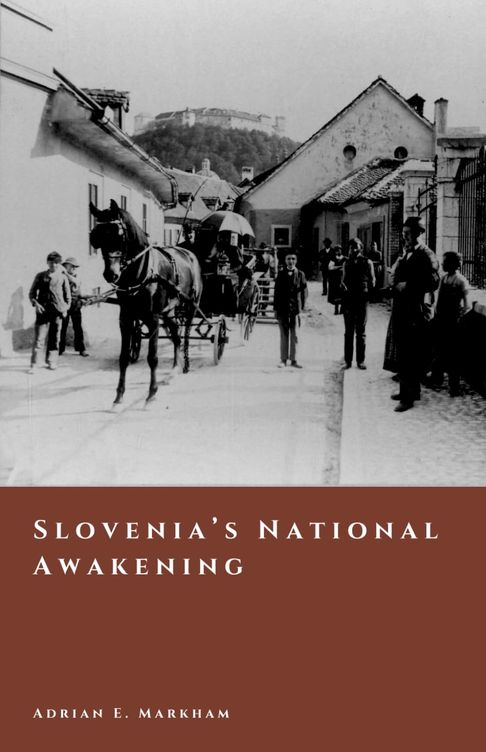 Slovenia’s National Awakening: Language, Culture, and the Road to 1918 (The Story of Slovenia)