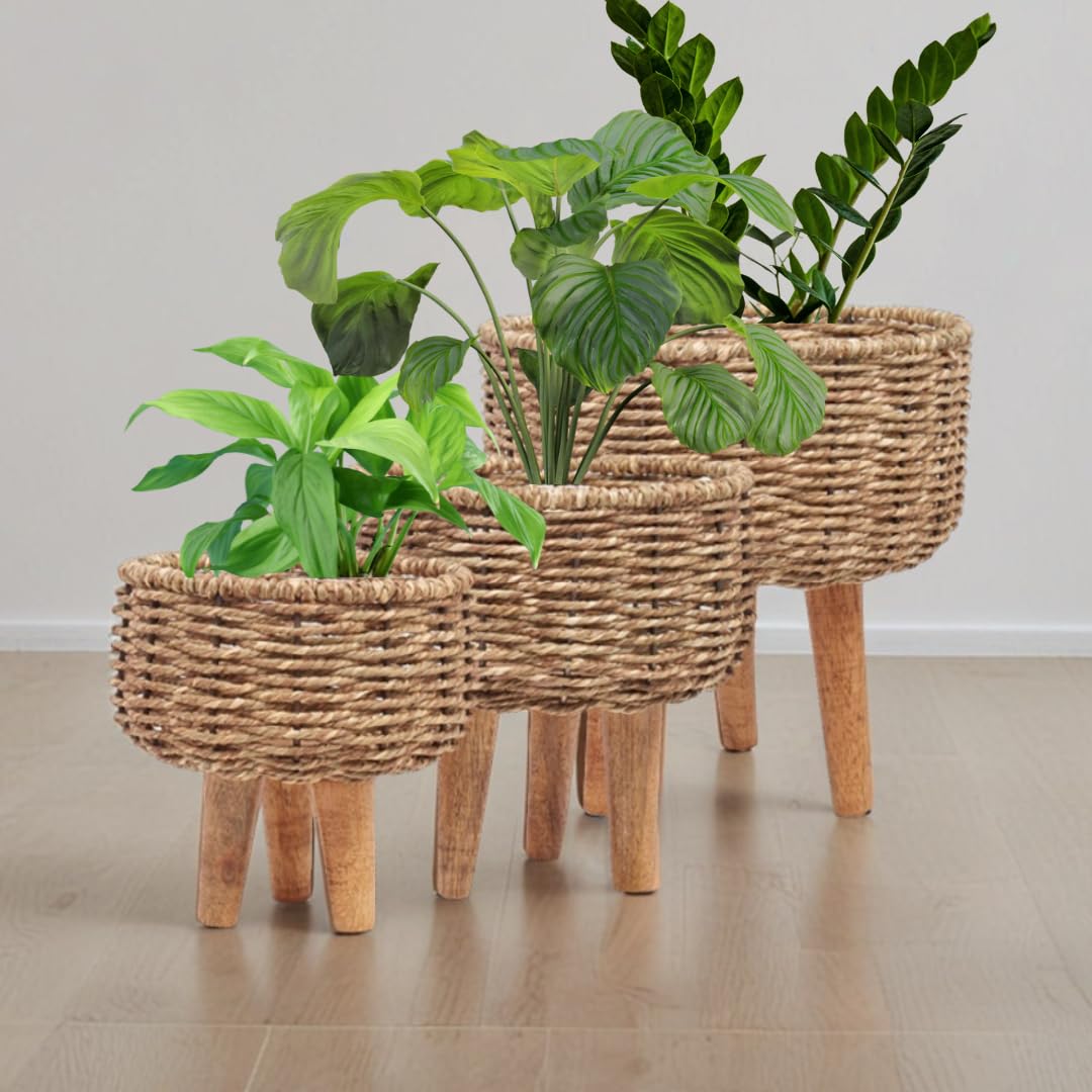 Greenarium Jute Rope Planters Highly Durable Plant Container Gamla for Indoor Home Decor & Outdoor Balcony/Garden Flower Pot, Set of 3 (B0CB13YZ9S) Amazon Price History, Amazon Price Tracker
