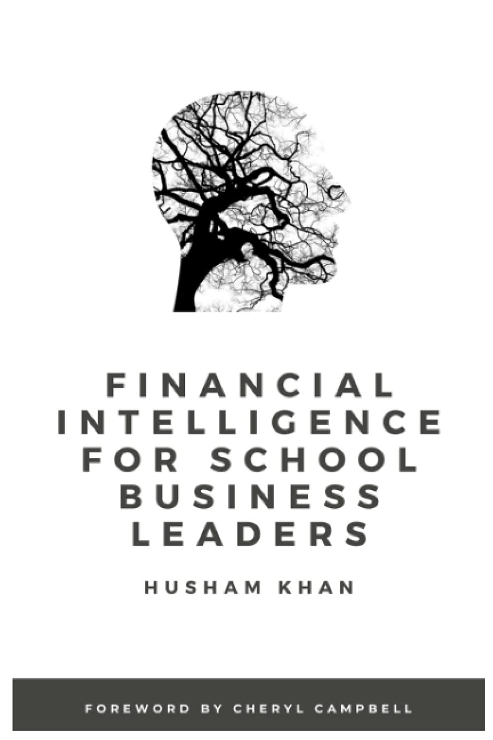 Financial Intelligence for School Business Leaders