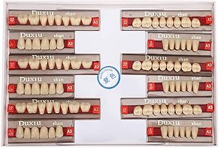 Synthetic Resin Tooth Acrylic Resin Denture Teeth Dental Synthetic Resin False Teeth for Denture Models, DIY Projects, Professional Dentist Supplies