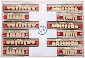 Résine Acrylique Dentaire Couleur A2 – Lot De 84 Fausses Dents Pour Labo Ou Démonstration