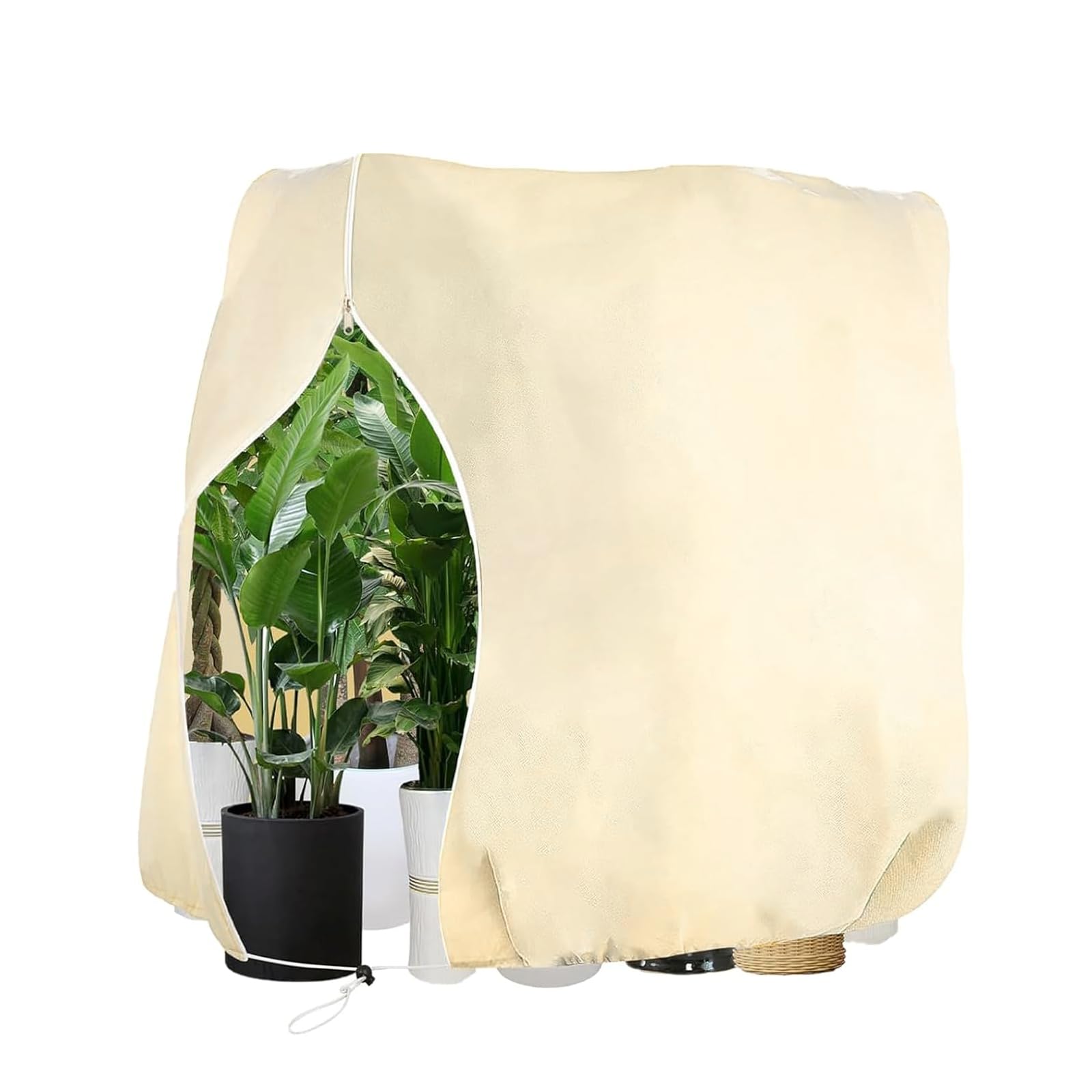 Pflanzenschutz Winter 250 x 360cm Winterschutz für KüBelpflanzen 80 g/m² | Winterschutz für Pflanzen Atmungsaktiv mit ReißVerschluss und Zugband, für Baum Palmen überwinterung Cremefarben