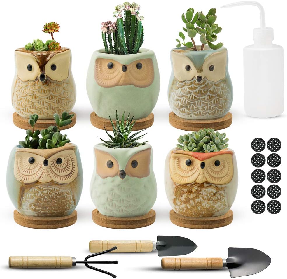 FairyLavie Succulent Pots, 2.5" Owl Planter Owl Pot, Small Pots for Plants Cute Small Planter with Accessories, Great for Home Decor and Ideal Gift, Set of 6 : Patio, Lawn & Garden