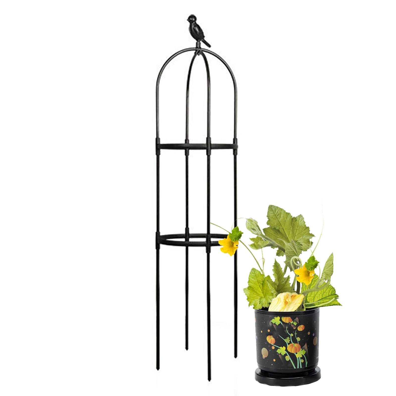Cage de support obélisque pour sublimer vos plantes grimpantes de terrasse et salon
