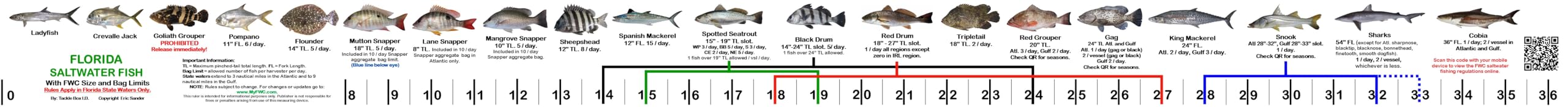 Tackle Box I.D. Florida Ruler