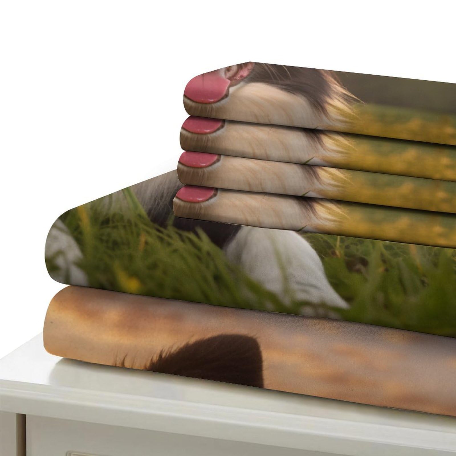 Perro Border Collie Funda Nórdica Funda De Edredón para Dormitorio Impresión 3D DigitalAnimales Pet Juego De Cama con Cremallera Microfibra Y Funda De Almohada 3 Piezas Super King（260x220cm）