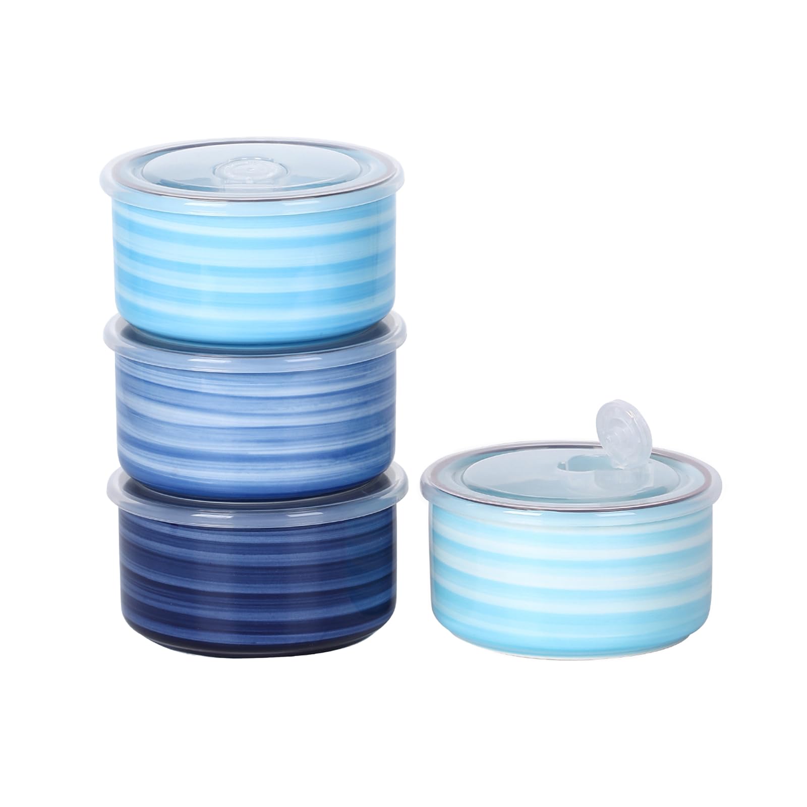Selamica Ceramic Bowls with Lids