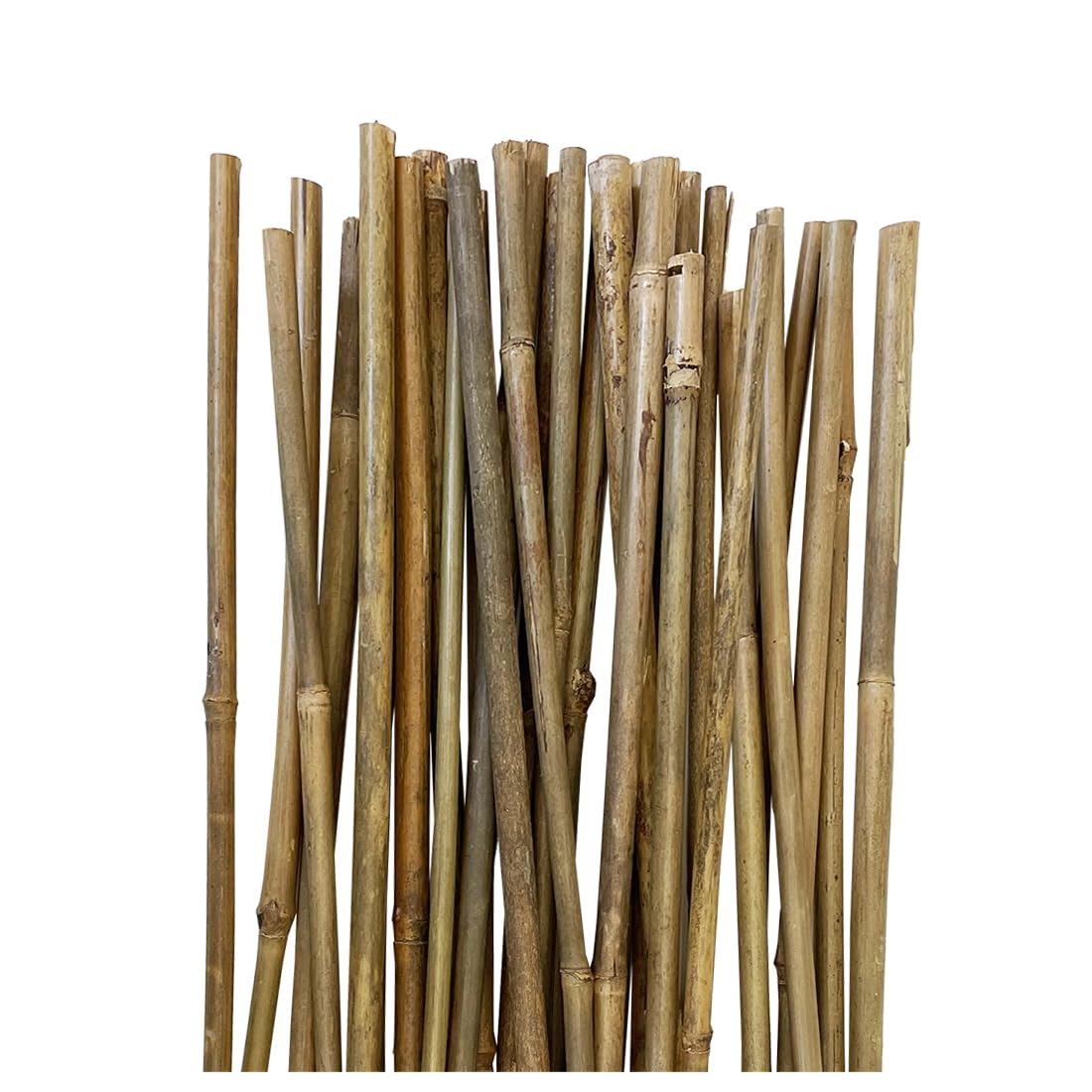 Acomoda Textil - Tutores de Bambú para Agricultura y Jardinería - Pack 30 Varillas Estables y Robustas (120 cm, 8/11 mm)