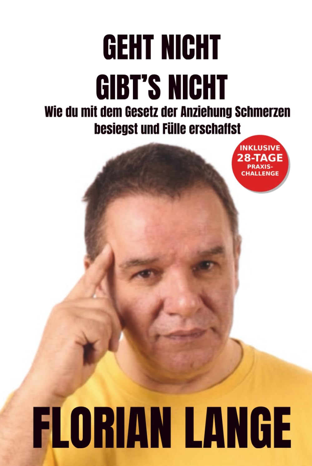 Geht nicht, gibt's nicht: Wie du mit dem Gesetz der Anziehung Schmerzen besiegst und Fülle erschaffst.