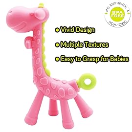 Medical-Grade Teething Toys for Babies 0-6 6-12 12-18 Months - with 4  Adorable Baby Teethers & 2  Baby Fruit Feeders - Soft Textures for Infant and Toddlers (Pink)