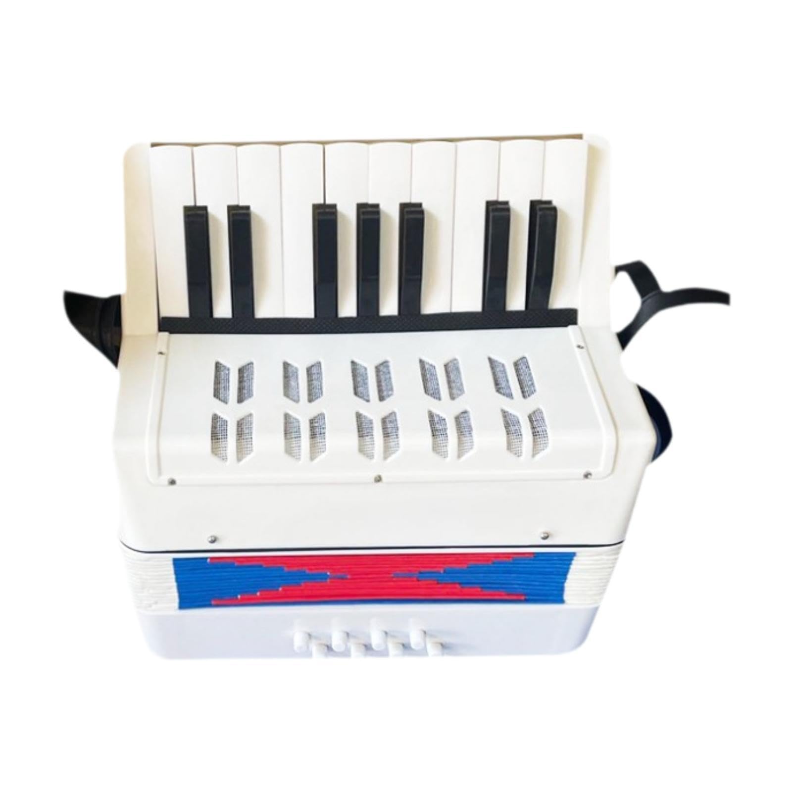 LOOM TREE® 17 Keys 8 Bass Piano Early Learning Accordion for Kids Student Birthday Gift | Educational | Music & Art-picture-25