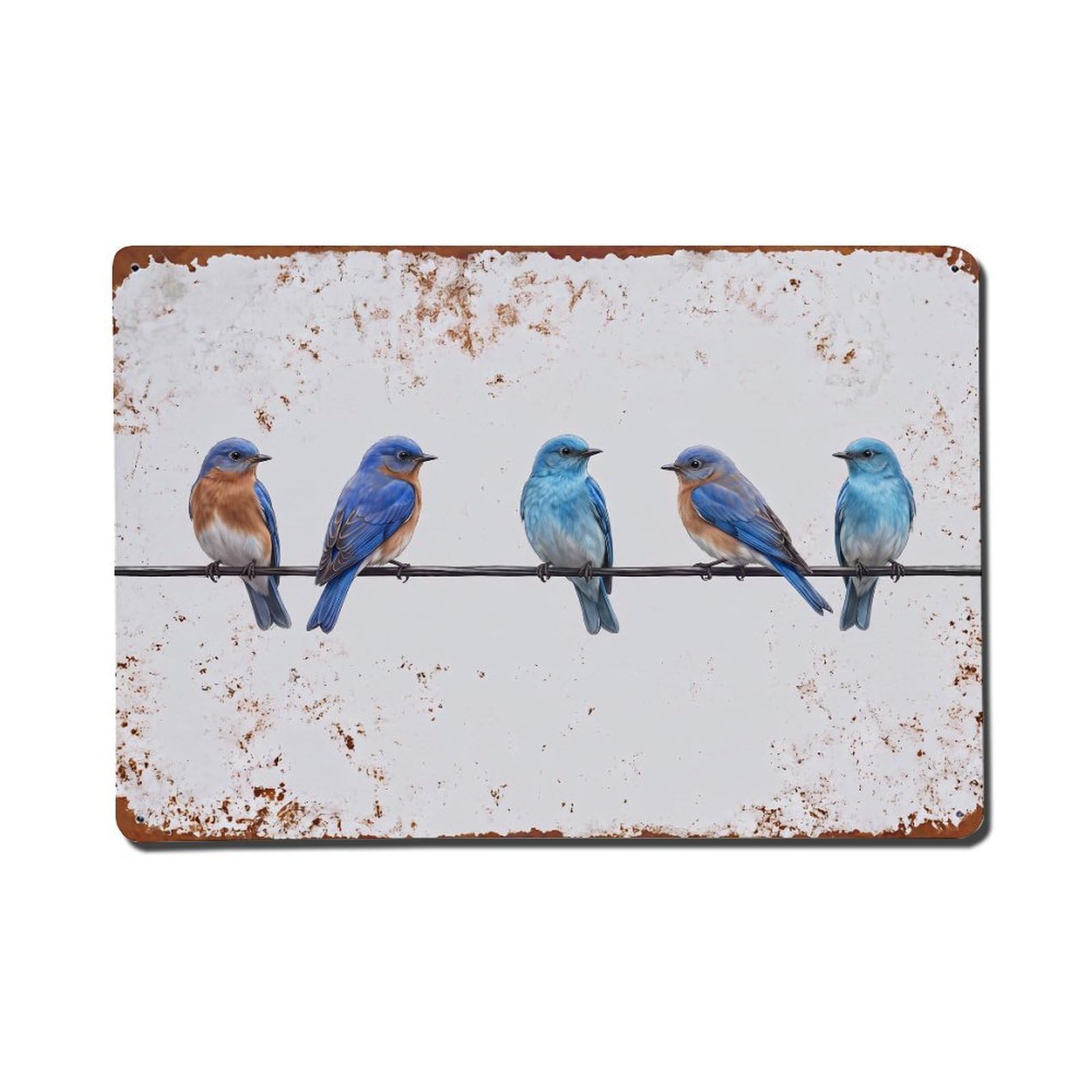 Vintage Retro Birds Bluebird Metal Tin Sign