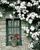 JEARAN DIY Digital Malerei Set, Handgemachte Malerei für Erwachsene und Kinder Anfänger, Kunsthandwerk für Zuhause Fensterdekoration Topfblumen auf der Fensterbank 40x50cm (ohne Rahmen)