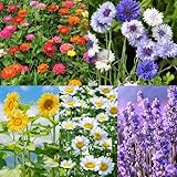 Meekear 5 Kit - Growing into Shasta Daisy, Cornflower, Sunflower, Zinnia, Lavender for Indoor Outdoor Garden DIY Gifts