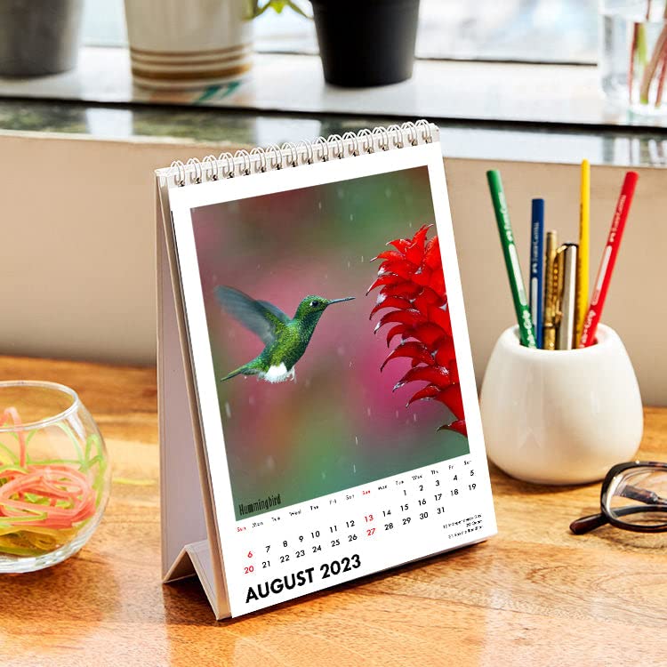 Image of Tallenge - Winged Beauties - 2026 Desk Calendar - 6 x 9 Inches for Home & Office (Paper, Desk Calendar)