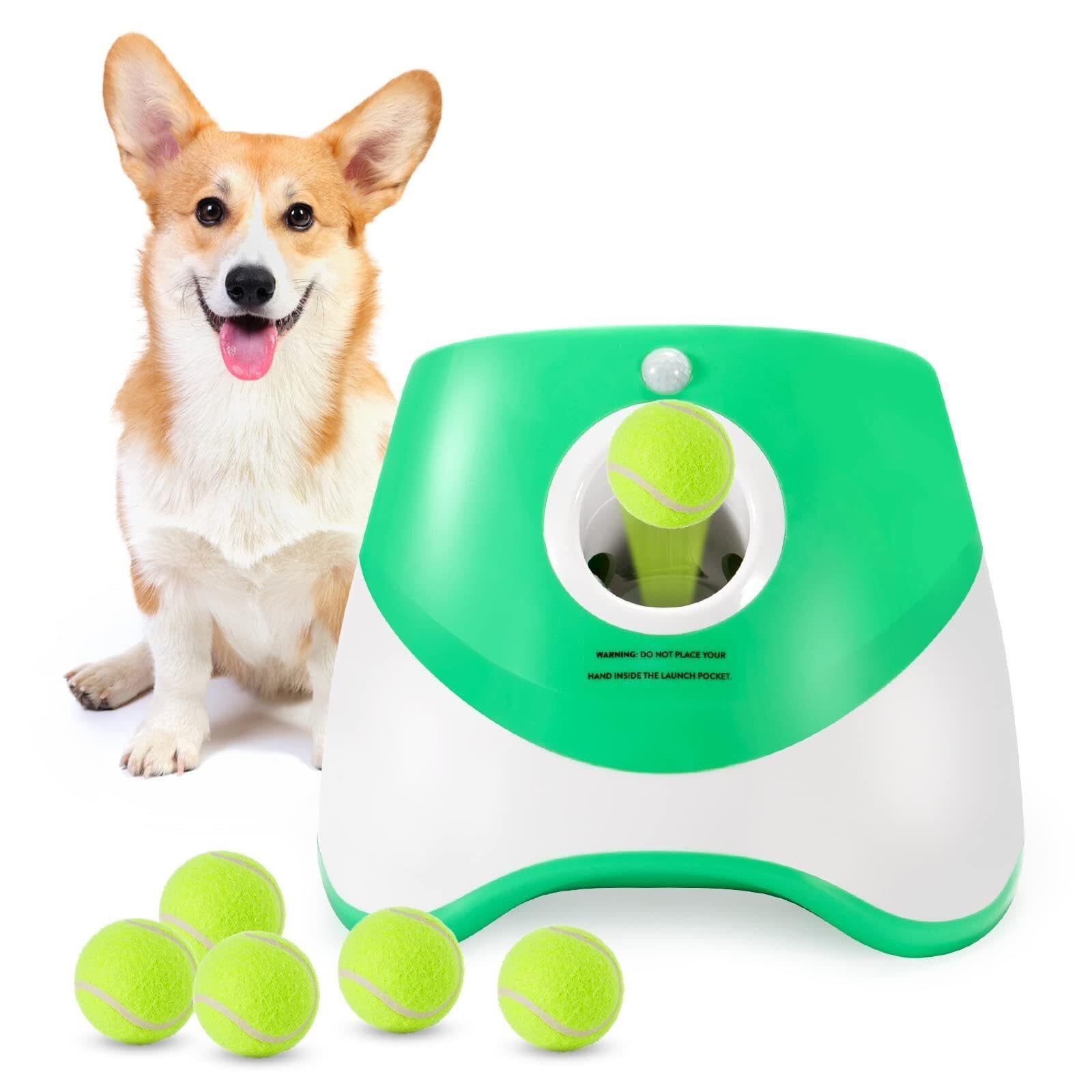 Automatischer Ballwerfer für Hunde + 6 Bälle von 5 cm
