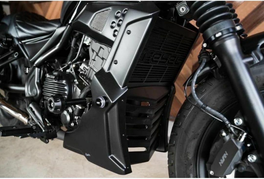 ZRX1200DAEG ZRX1200R MKアンダーカウルSET BSMK工房 ダエグ MK