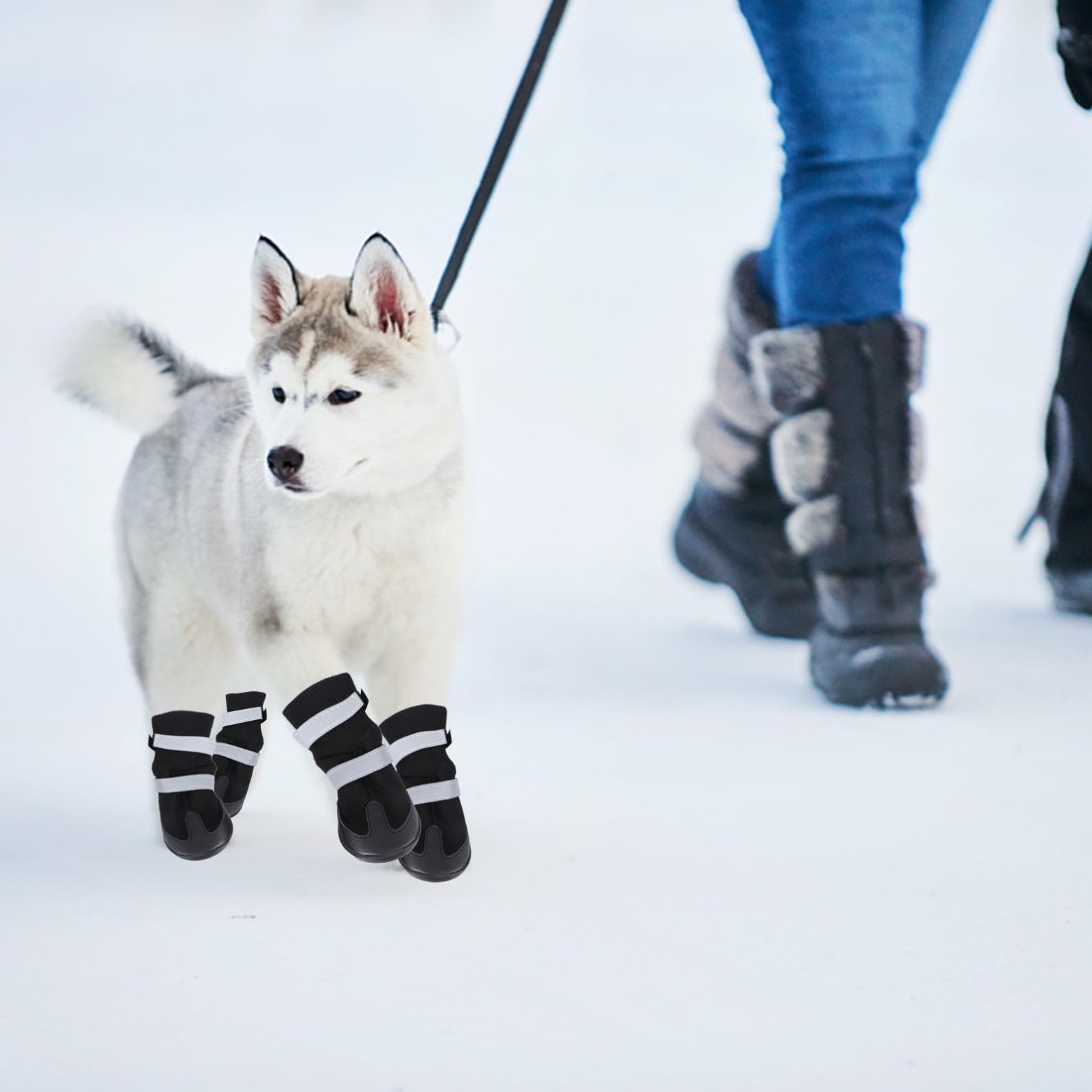 Mipcase 12 Pièces Bottes pour Chien de Compagnie Chien de contrôle de Traction Chaussettes Chaussures pour s de Compagnie Bottes Chaudes pour Chaussures d'hiver pour Black