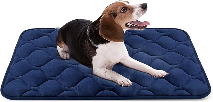 blue beagle dog bed