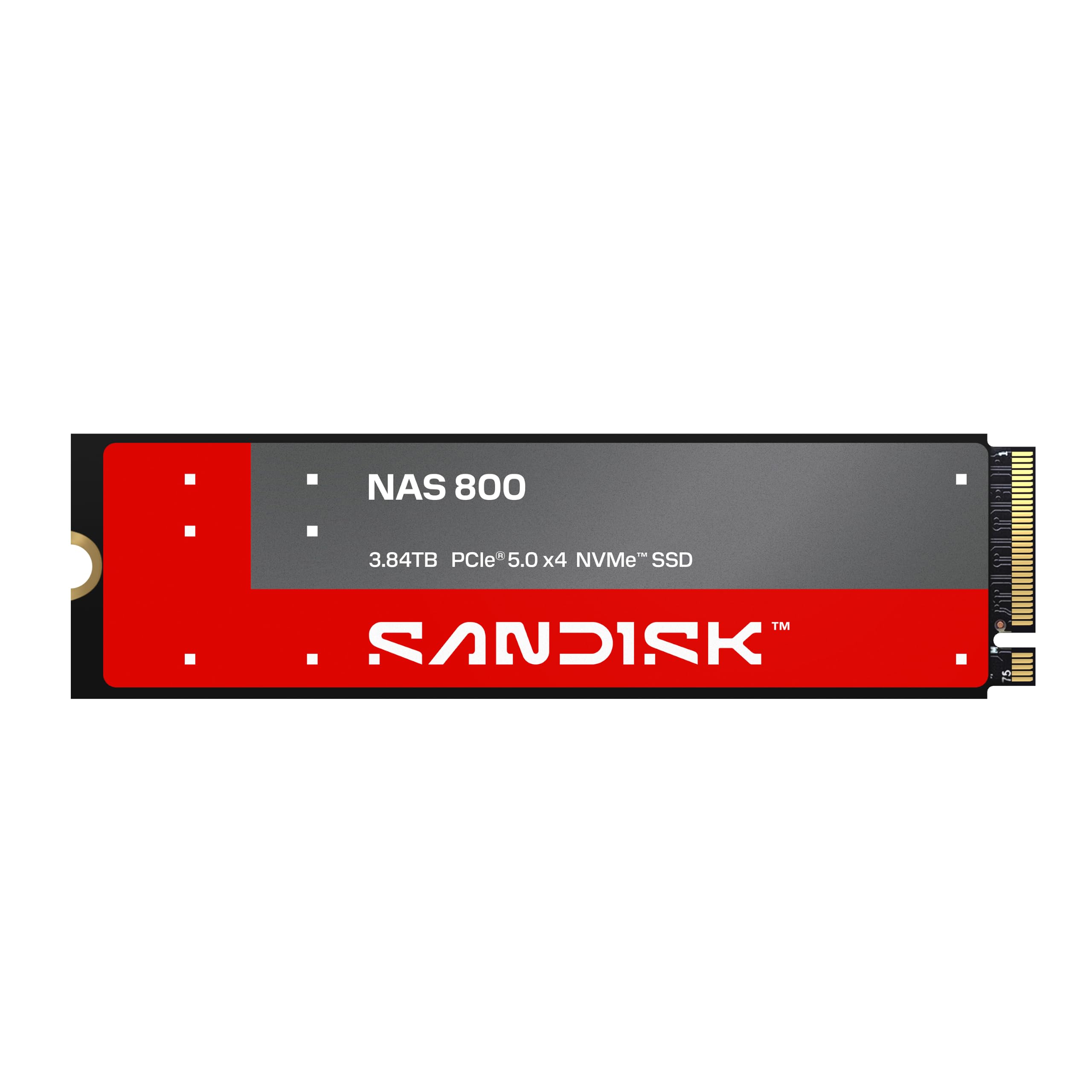 3.84TB SANDISK NAS NVME PCIE M2