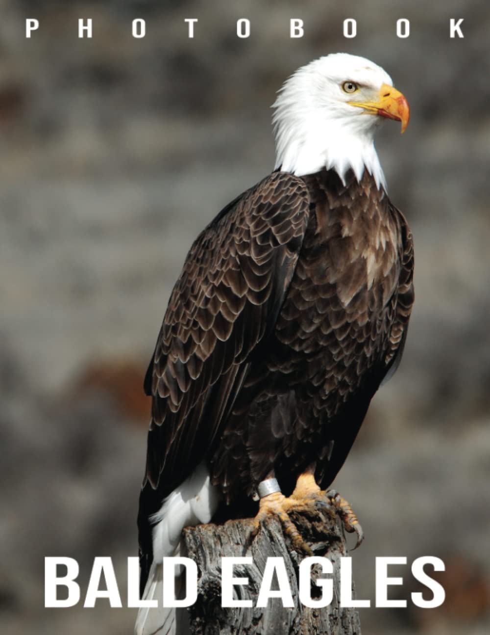 Bald Eagles Photo Book: Compelling Photos Of Bald Eagles Collection As A Perfect Gift Idea For Family Relatives Friends Lover All Age