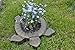 SvitMolds Concrete Mold Tortoise Mold Decorative Flower Garden Decor Tortoise Concrete Mould (Small) F01