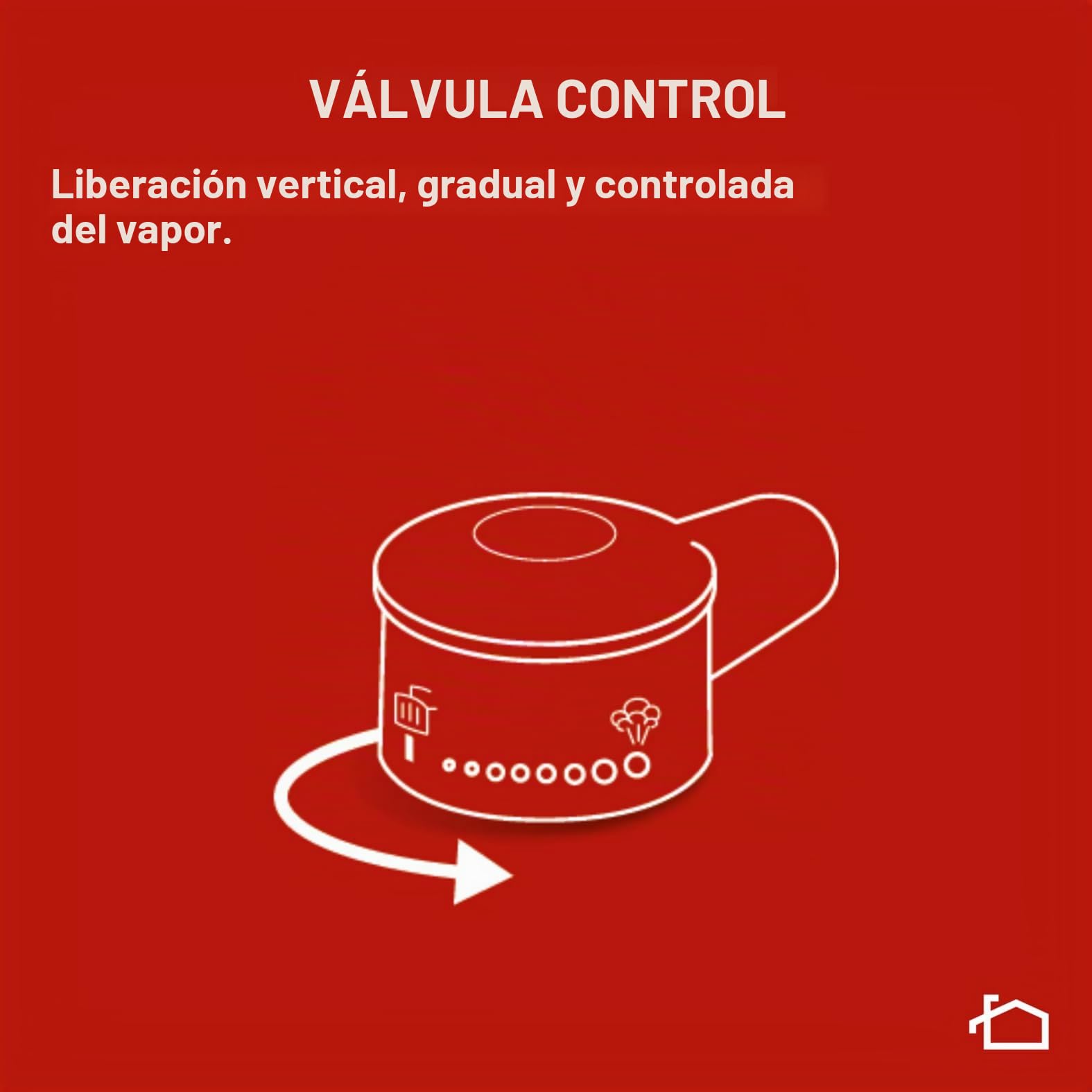 LAGOSTINA LAG620Q07 Olla Press Deliciosa, 22 l, 7 l | Con LagoEasy'up, válvula Control, fondo Irradial Plus, acero inoxidable 18/10