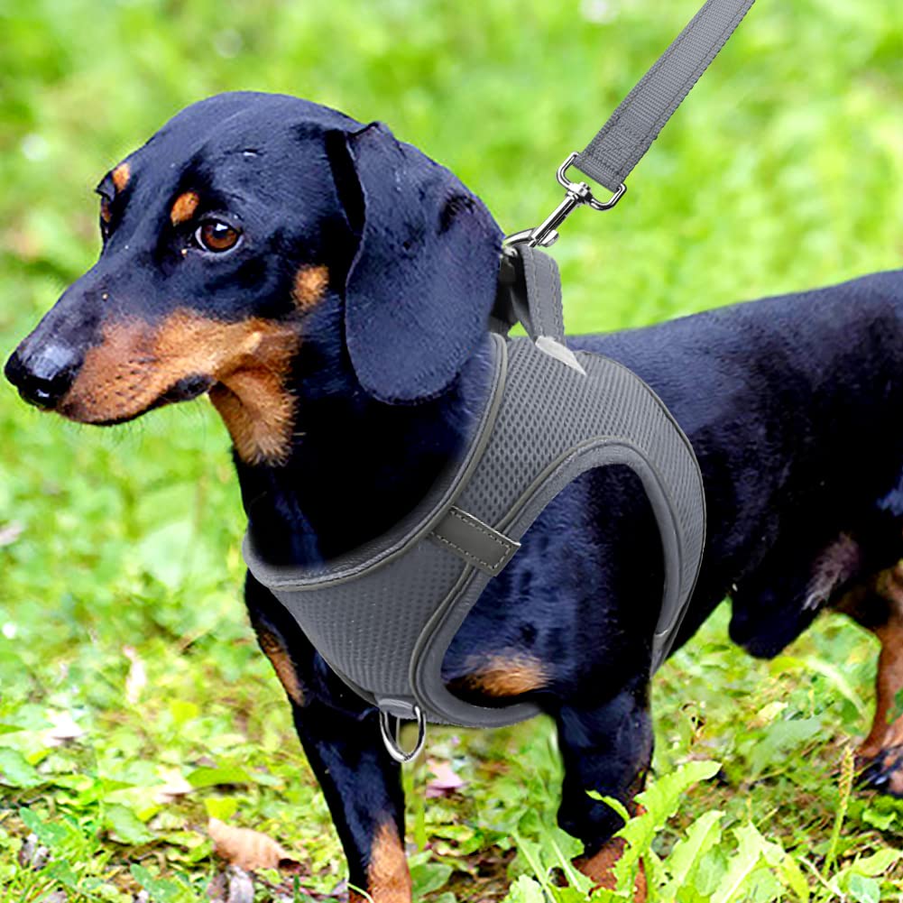 Joytale Step in Dog Harness,Soft Mesh Reflective Breathable Vest Harnesses,Easy Walk Harness with Safety Buckle for Small and Medium Dogs,M,Gray - Image 2